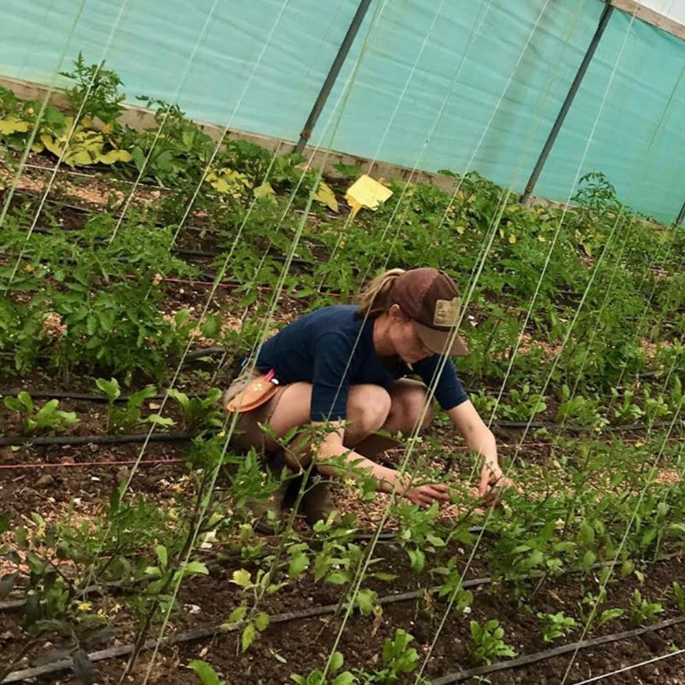SIX INCHES OF SOIL