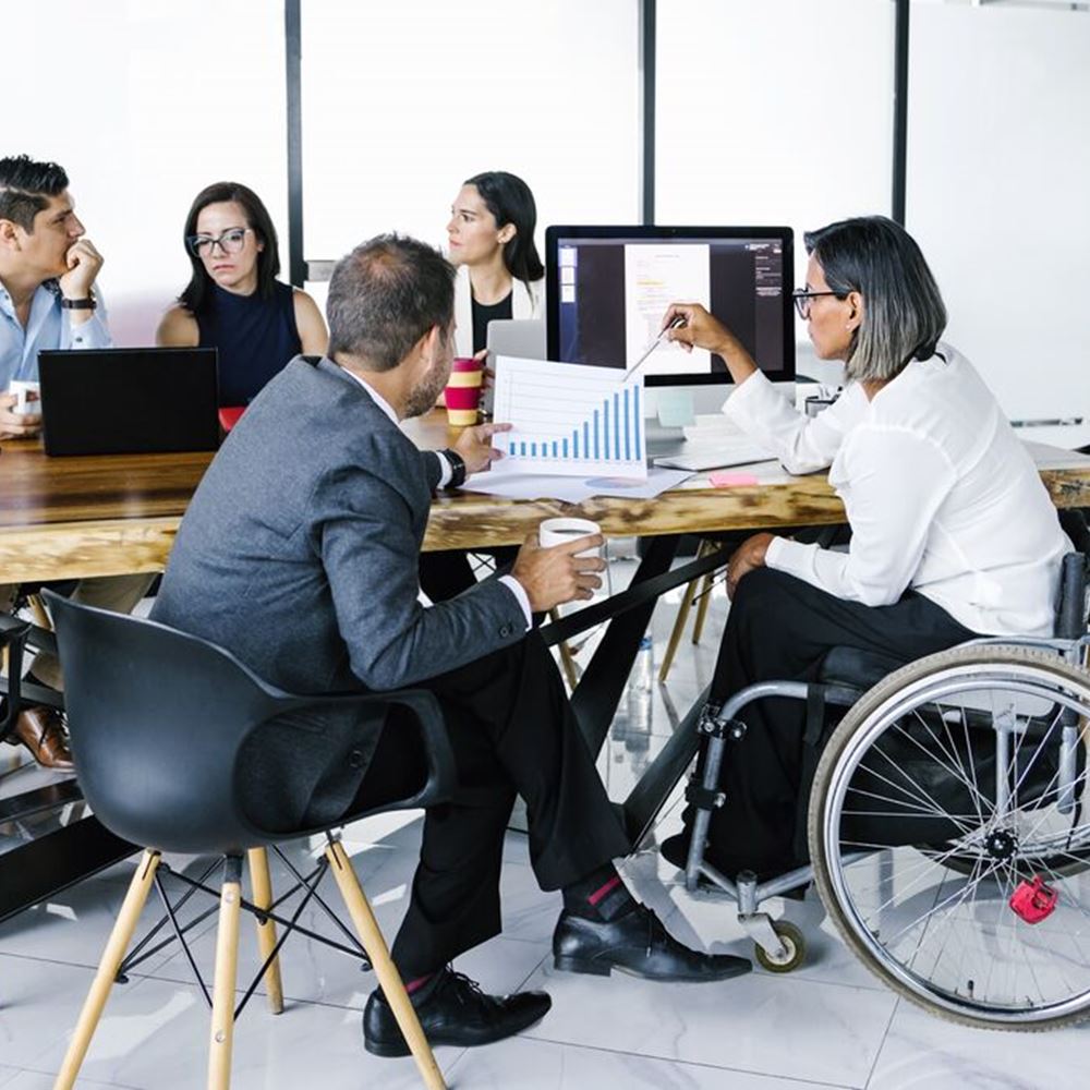 2433 Meeting With Diverse Team Of Professionals