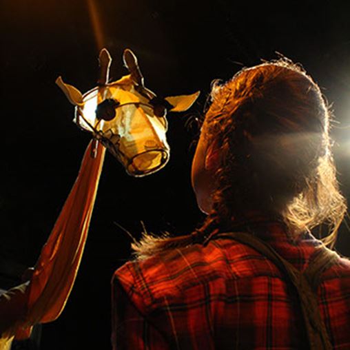 Girl And The Giraffe